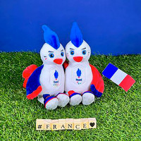 French Olympic and Paralympic Team